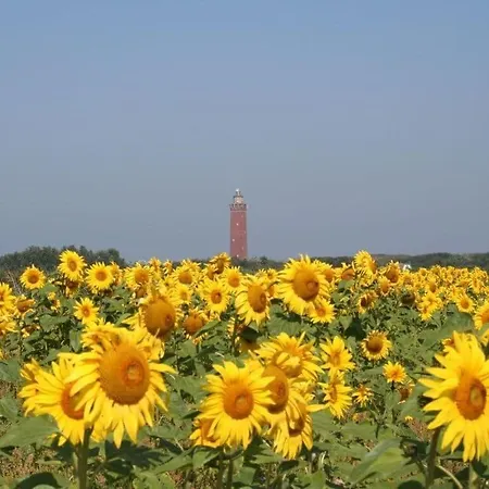 度假居 Grevelingen 23 Comfortable Holiday *