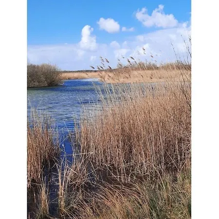 Grevelingen 23 Comfortable Holiday * 奥德多普